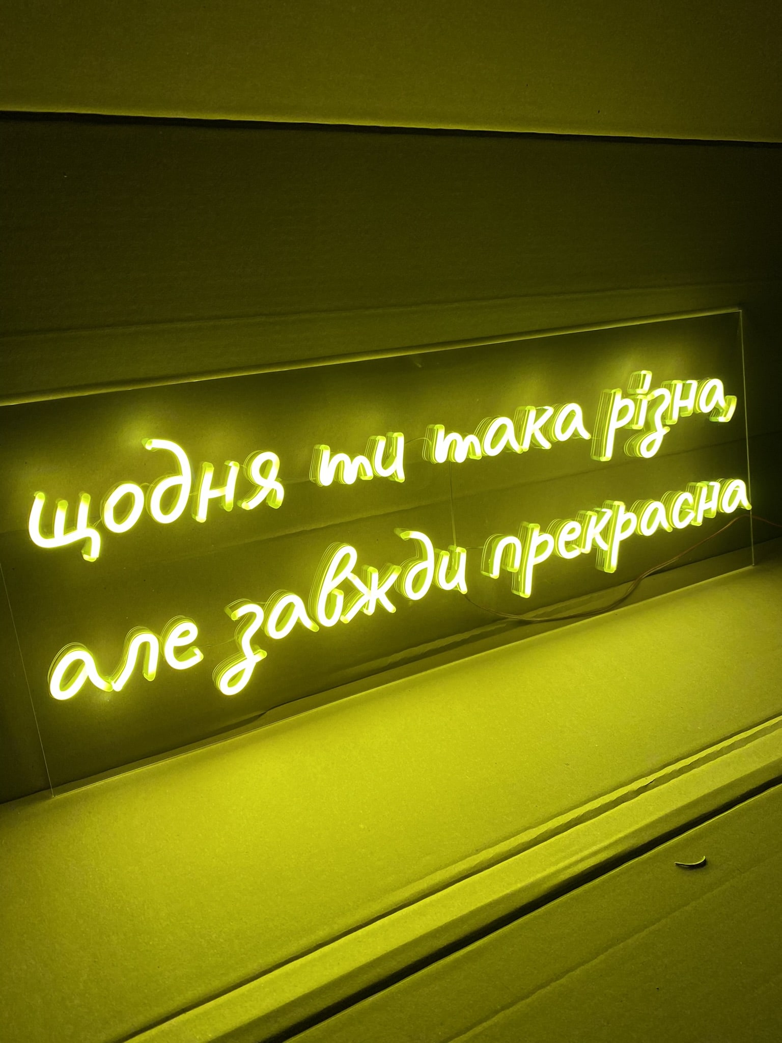 Ти прекрасна, 800х300, 4570грн_
